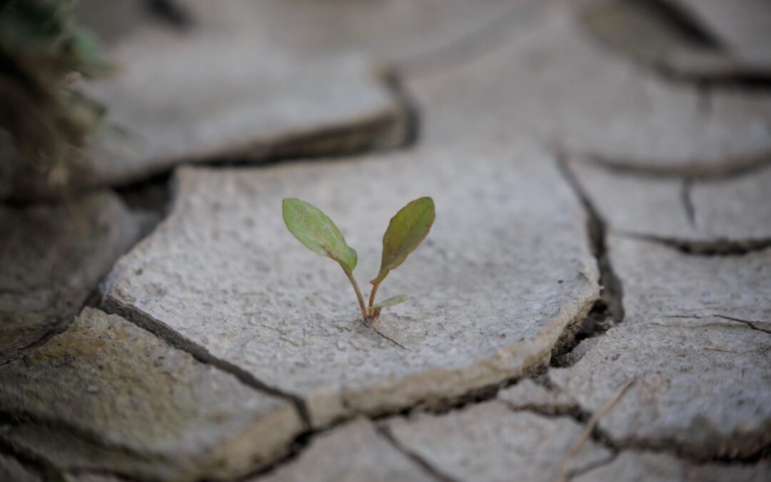 Resiliency in Times of Uncertainty with Jeff Jessum